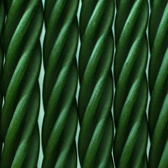 VeggiePet Green Dental Twists
